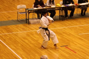 401-IMG 2013-11-30 11-26-021