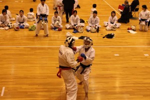 486-IMG 2013-11-30 14-03-045