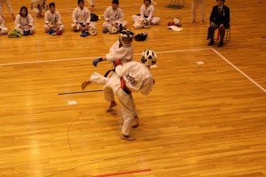 489-IMG 2013-11-30 14-08-59