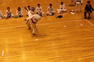 509-IMG 2013-11-30 14-09-039