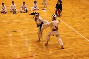 540-IMG 2013-11-30 14-11-00