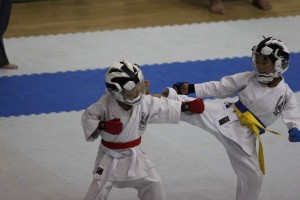 IMG 2013-07-20 14-31-43