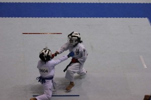 IMG 2013-07-21 13-16-033