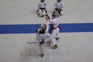 IMG 2013-07-21 13-18-57