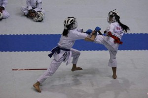 IMG 2013-07-21 13-22-021